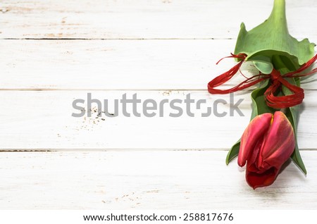 Red tulip on white wooden planks useful as background