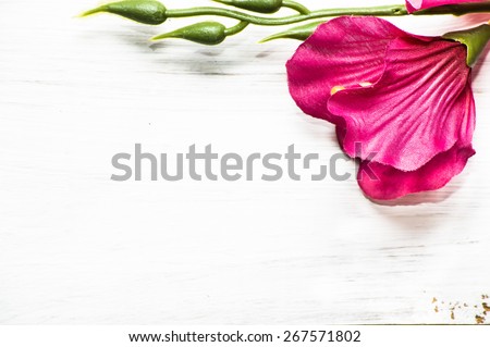 Artificial pink gladiola flower on a white wood background, greetings card and invitation card