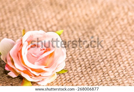 Bright pink rose flower on a jute sackcloth background, greetings card, wedding invitation and invitation card
