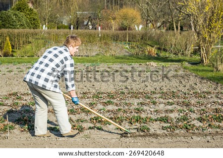 Woman rake the ground in the garden, preparing the ground for sowing, spring gardening and sowing on the plot