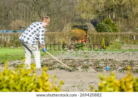 Woman rake the ground in the garden, preparing the ground for sowing, spring gardening and sowing on the plot