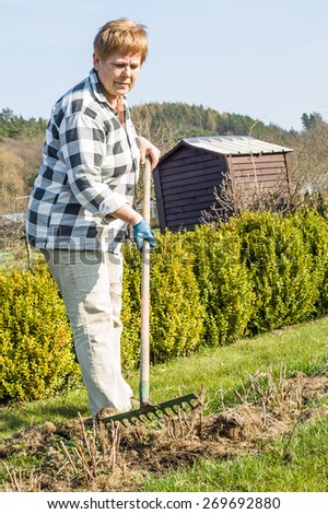 Woman rake dry grass in the garden, spring gardening and laisure