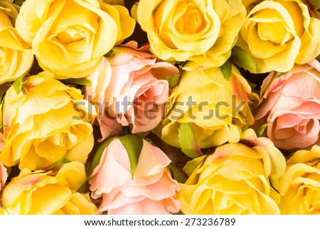 Colorful roses flowers, floral background for mothers day, wedding invitation, greetings card and invitation card