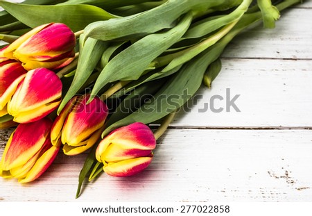 Tulips on a wood background for mothers day, wedding invitation, greetings card and invitation cards, flowers backgrounds