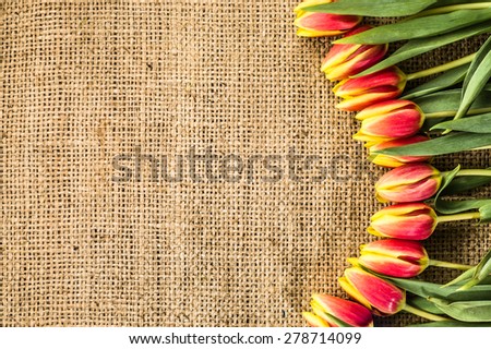Tulips on canvas background for birthday cards, mothers day, wedding invitation, greetings card and invitation cards