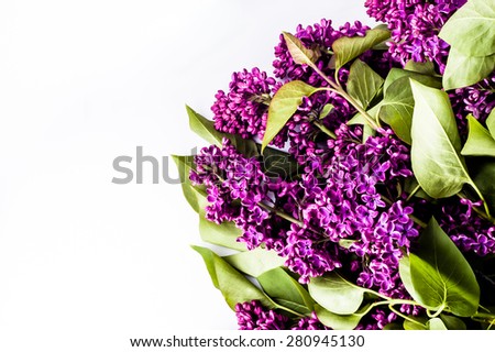 Lilac flowers on white background useful as greetings card, invitation cards, wedding invitation and postcards with place for text.