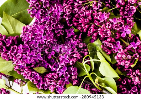 Lilac flowers background useful as greetings card, invitation cards, wedding invitation and postcards.
