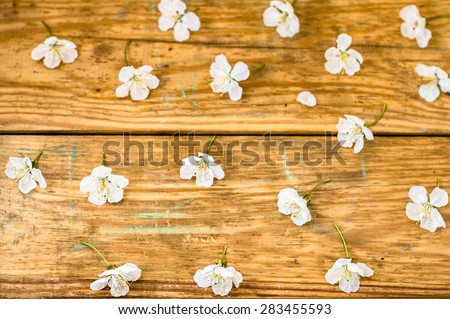 Fruit blossoms on wood background for invitation cards, wedding invitation, greetings card, mothers day, floral backgrounds