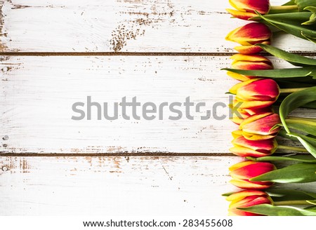 Tulips floral backgrounds. Arrangement of tulips on a wooden planks background for greetings card, invitation cards, mothers day or wedding invitation.