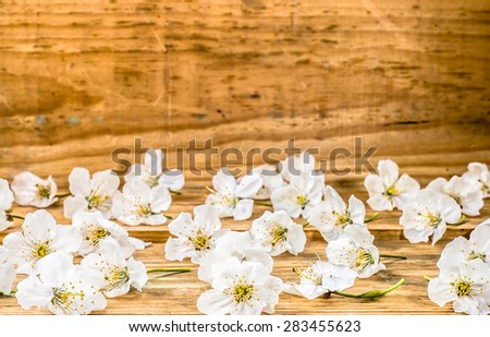 Fruit blossoms on wood background for invitation cards, wedding invitation, greetings card, mothers day, floral backgrounds