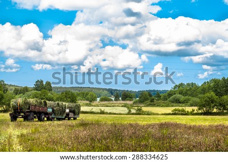Landscape with haymaking. The trailer of hay in a field. Fields and meadows at summer, the idyllic rural landscape and agricultural. Blue sky with clouds and sunny day.