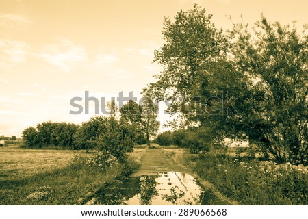 Vintage photo of nature landscape. Landscape with rural road, trees and puddle of rain at summer. Idyllic rural landscape and agricultural, with vintage vignette effect.