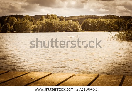 Landscape of beautiful lake with swans in the summer,  vintage photo. Vacation and holiday time, nature composition, background or postcard, vintage effect and vignette.
