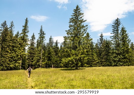 Landscape in summer holiday with hiker on path in mountain valley with spruce forest, hills and pasture. Tatras Mountains, Zakopane, Poland