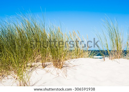 [Obrazek: stock-photo-landscape-of-sand-dune-and-g...591938.jpg]