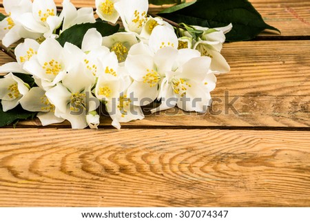 Flowers background with flowers of jasmine isolated on wooden background useful as greeting card,wedding invitation, mothers day card or invitation card.