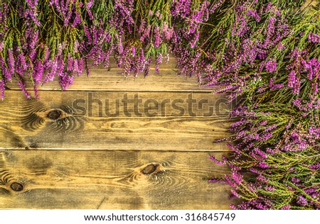 Beautiful flowers of heather in purple color on rustic wood background. Flowers backgrounds.