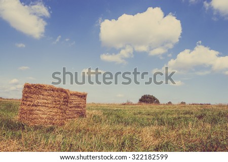 Rural landscape showing hay bales on meadow in summer at harvest. Farmland and agriculture in Poland, vintage photo.