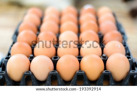 eggs on plastic tray.