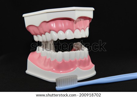 dental instruments,dental tooth model with tooth brush on black background