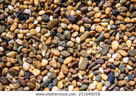 Wet shining pebbles background on floor at temple