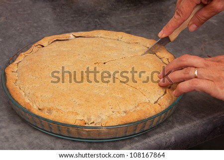 Woman cutting cheese pie with knife
