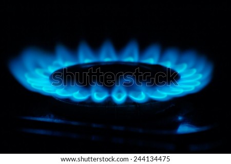 Fire natural gas burner in home on a dark background