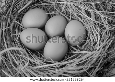 black and white five egg on net