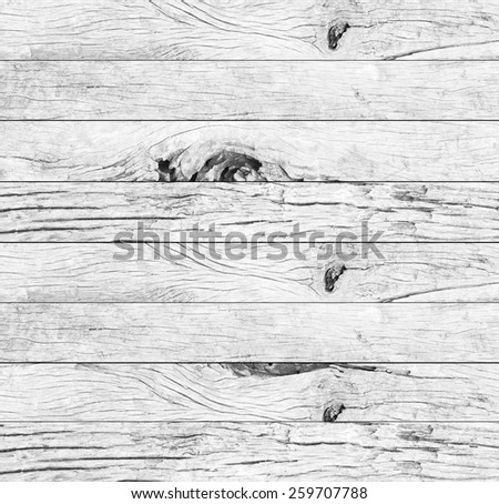 old vintage white wood backgrounds textures.horizontal line concept,soft focused