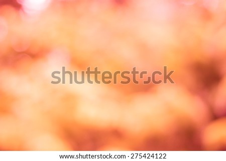 Blurred red nature backgrounds,blurred backgrounds concept.