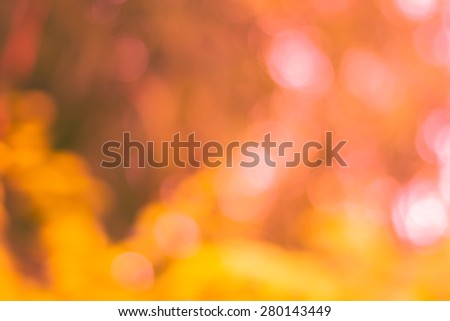 Blurred red nature backgrounds,blurred backgrounds concept.