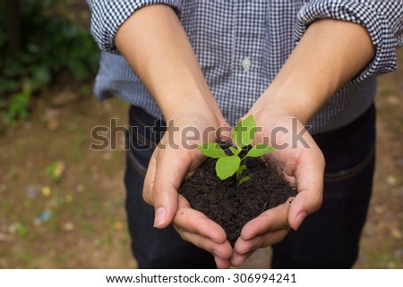 close up on man hands holding a little growing plant : Safe the world concept,ecology system concept.selective focused.