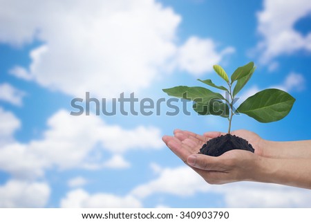 human gesture holding a little plants against blurred nature blue sky with clouds backdrop:man hand with a little tree of healthy symbolic concept:happy long life:good health concept.