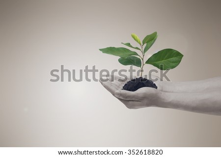 human hands hold a little growing plant on blurred vintage beige brown sepia tone backdrop:man hand with a little green leaves tree:safe world life concept:helping earth conceptual.abstract idea