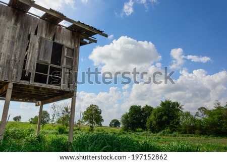 Wooden pavilion surrounding by paddy field in thailand