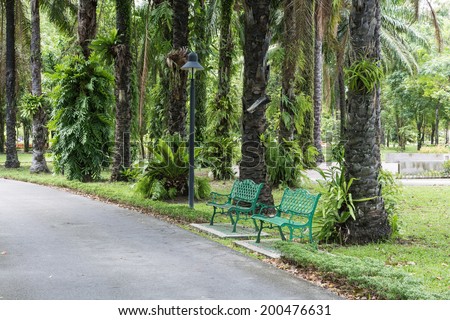 Green city park and Pedestrian walkway for exercise lined up with beautiful tall trees