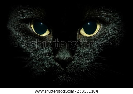black cat or character of black cat with yellow eyes