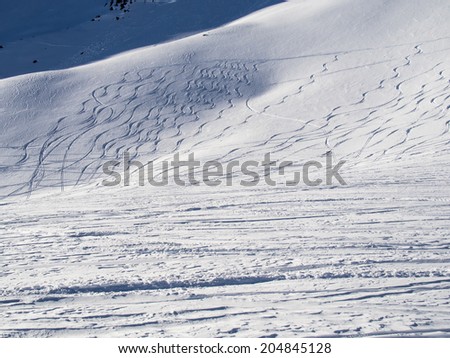 Carver and snowboarder traces  Traces in the fresh deep snow in a high mountain region of the Engadine, Switzerland