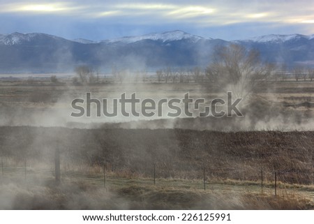 Fog rises above a pasture in a geothermal area.
