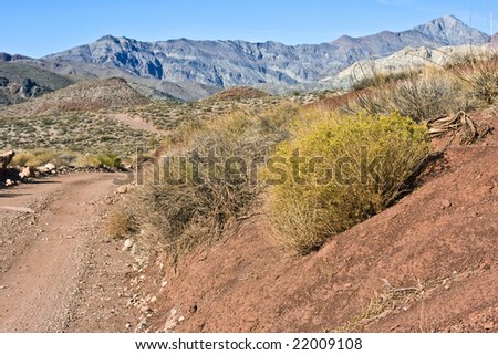 Red soil, a single lane dirt road, various bushes and distant rock mountains in the high desert. Clear blue sky. Titus Canyon Road, Death Valley National Park.
