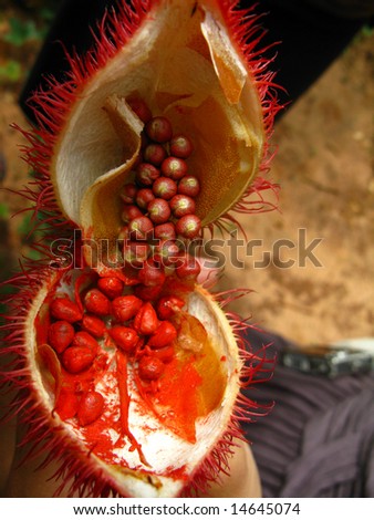 African Fruit