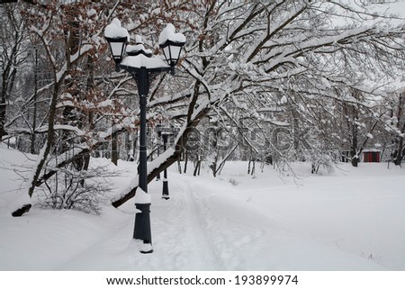 Winter Park. lights in the snow. Walk in the park