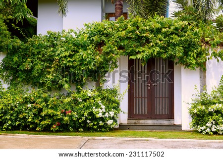 Comfy cottage with curly plant and flowers on walls