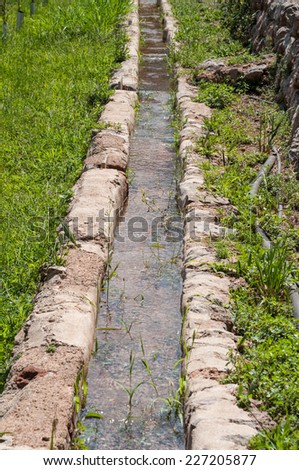 canal water for irrigation of agricultural field