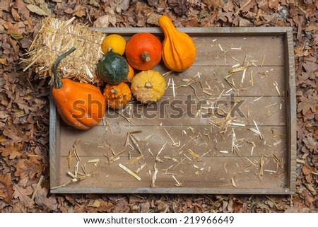 Pumpkins, apples, pears and straw on a wooden plate.