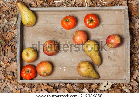 Pumpkins, apples, pears, tomatoes and straw on a wooden plate.
