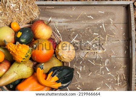 Pumpkins, apples, pears, tomatoes and straw on a wooden plate.