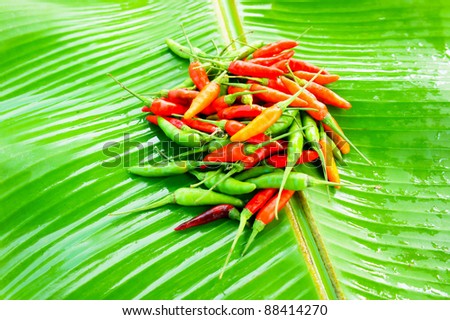 Chili Pepper mix color on fresh banana leaf