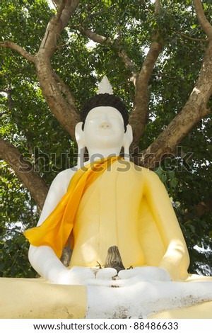 Ancient big buddha meditation under tree in Thailand