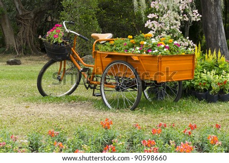 three wheels bicycle in the garden with bucket flower